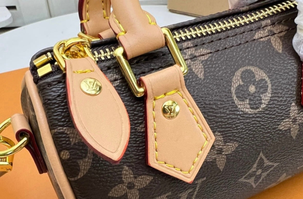 LV Mini Crossbody Bag